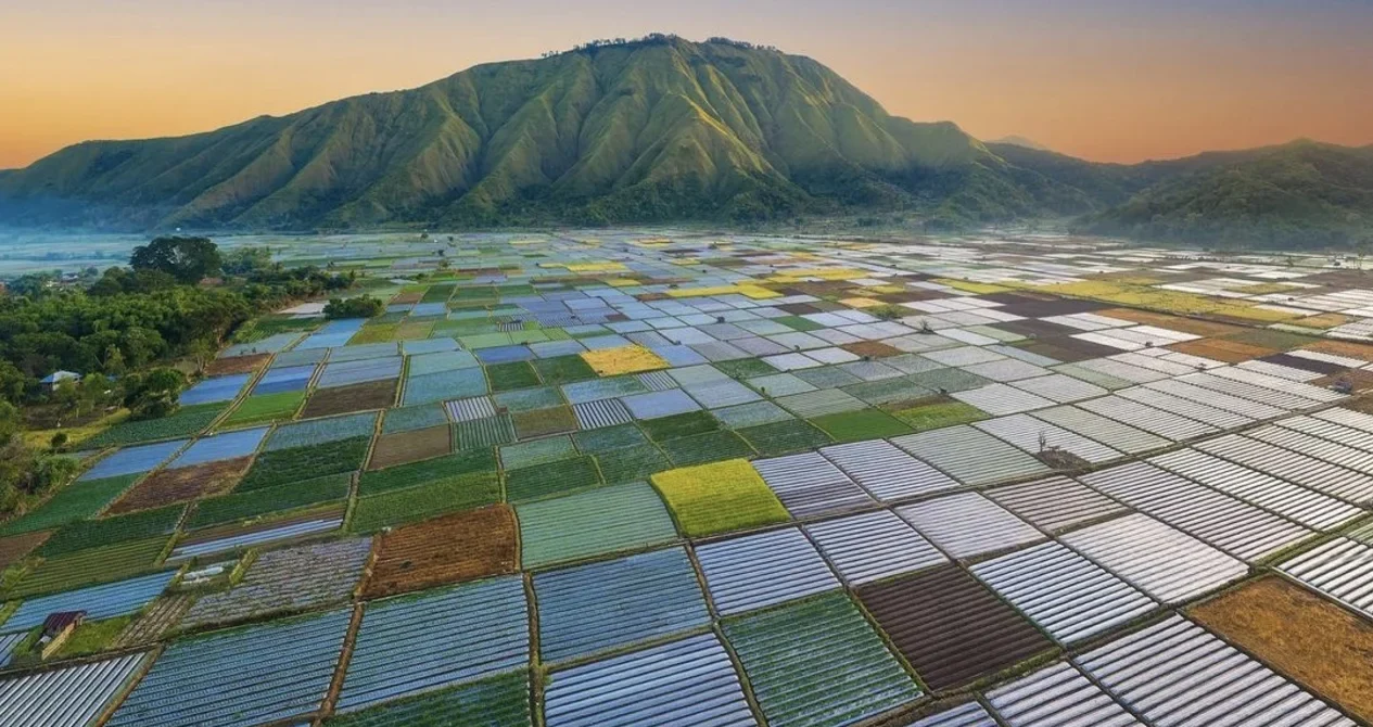 Pergasingan Hill - The Ultimate Guide to Sembalun Village