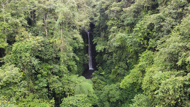 Air Terjun Jeruk Manis