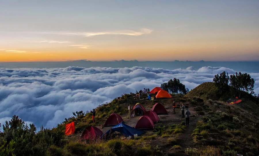 Camp under the stars in Sembalun