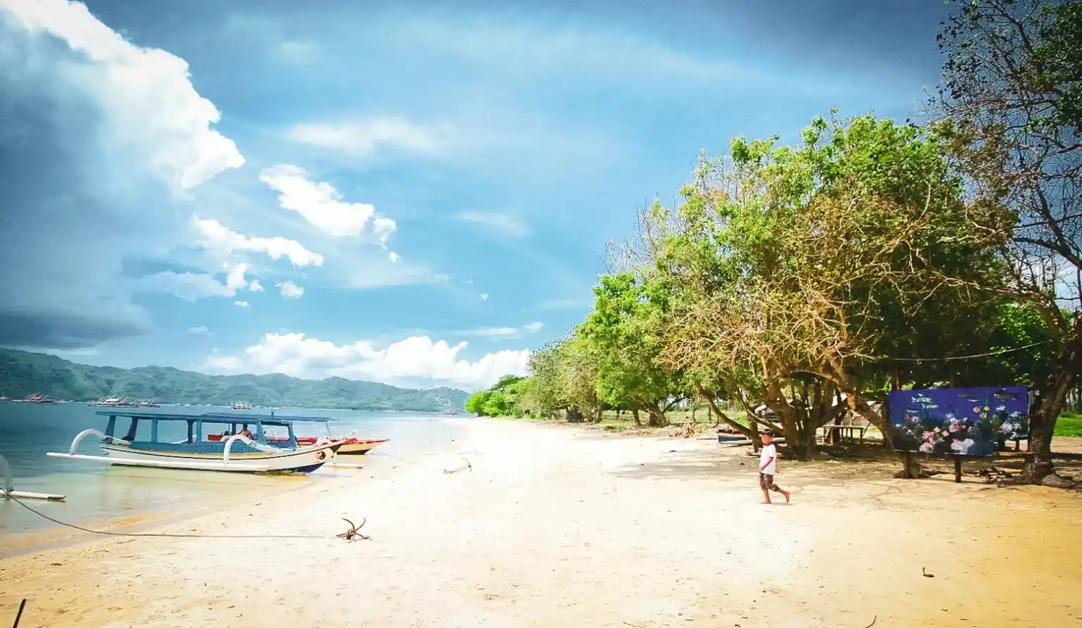 selong belanak beach lombok