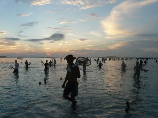 putri mandalika bau nyale